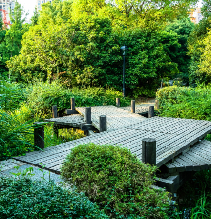 Landscaping Ideas to Transform Your Backyard