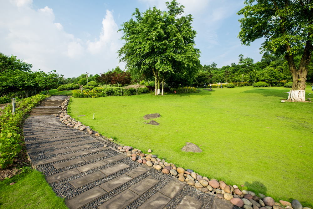 modern-home-landscaping-stone-pathway-lush-garden-sunny-day-real-estate1
